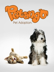 51 Best Images Pet Adoption Atlanta Humane Society / Atlanta Humane Society Branding Case Study | Matchstic in ...